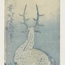 深山の鹿<br /> (中尾松泉堂書店)